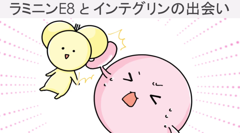 ゆるキャラアニメーション